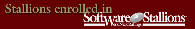 Stallions enrolled in Software for Stallions