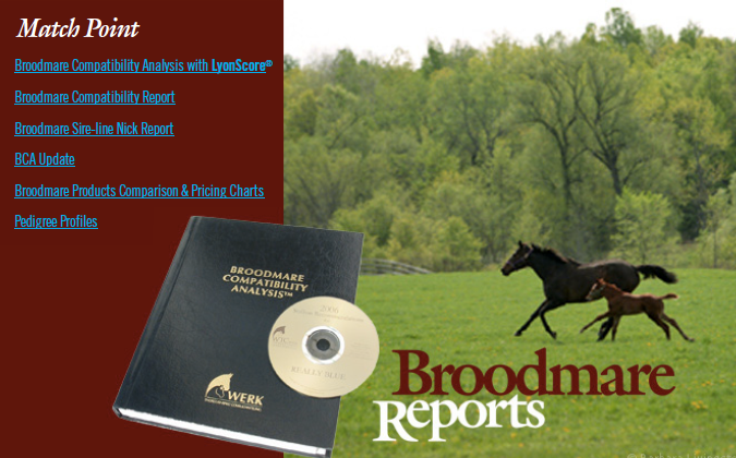 Image © 2006 Barbara Livingston Horses running in field - Image © 2006 Barbara Livingston