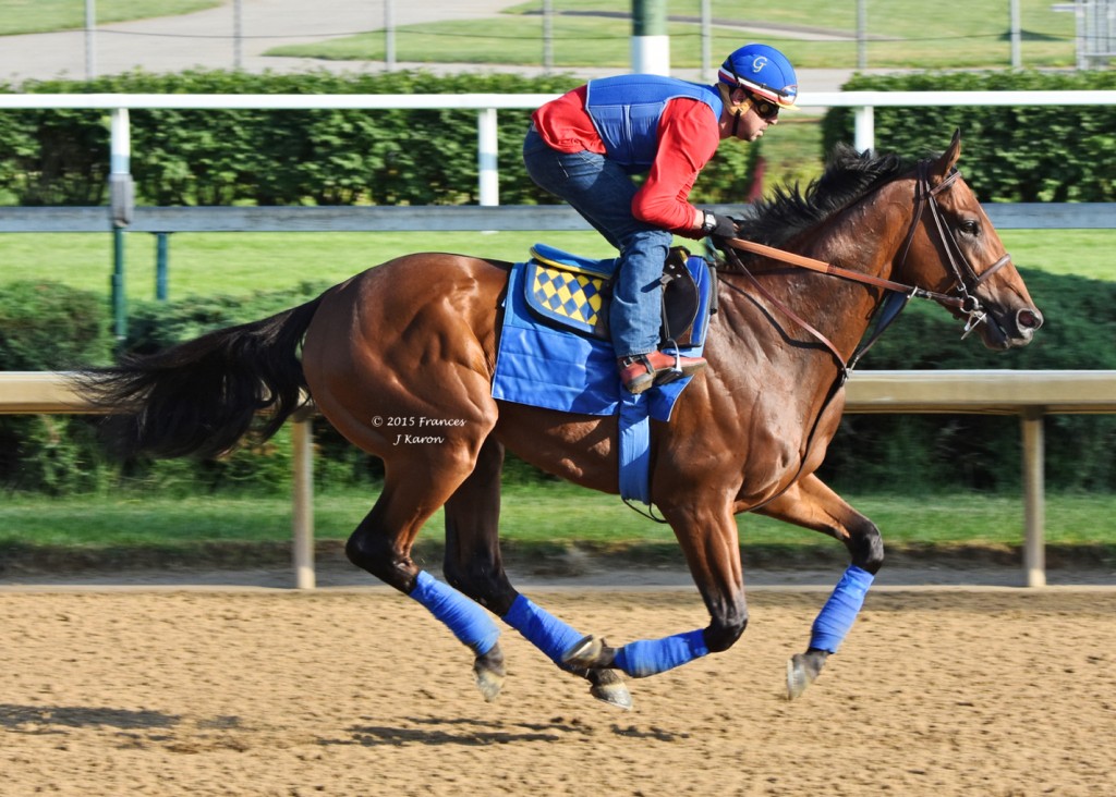 americanpharoah 30may15 5344 sm todelete