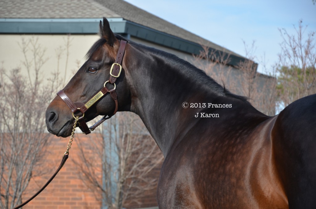 bernardini 0613 11jan13 sm