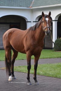 goldencents 14nov14 2813 very small